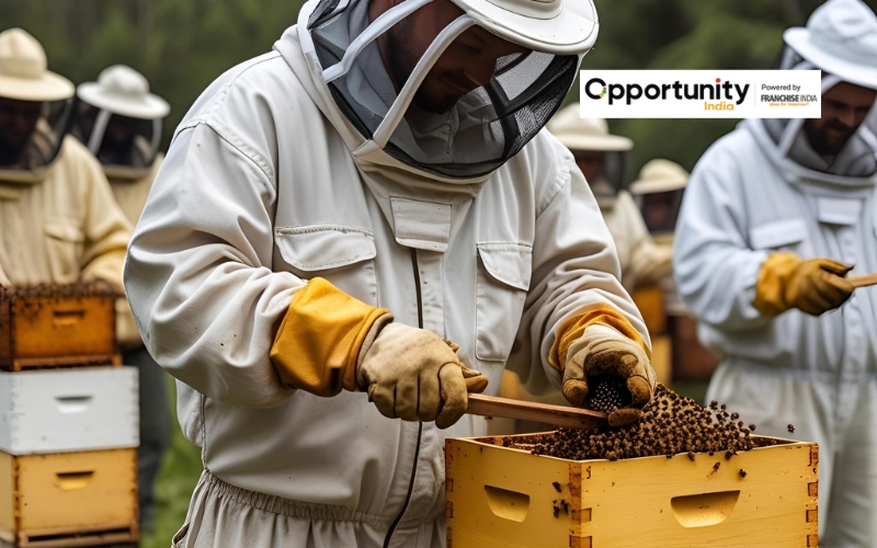 Honey Bee Farming Business Plan in India